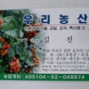 겸면 흥복 이미지