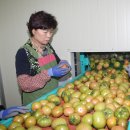 예천군농산물산지유통센터 이미지