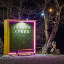 강촌포도팬션&캠핑장 이미지