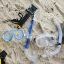 보홀 얕고 물 맑은 스노클링 <b>포인트</b> <b>듀</b>말루안 비치(두말리안비치)