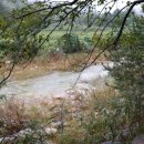 소금강가족낚시터 이미지