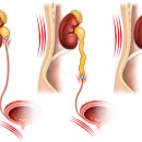 예스유비뇨기과의원 이미지