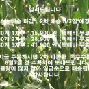 싱그린농원 - 청도군 봉기로 60 | 싱그린농원