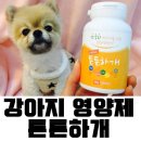 이루다컴퍼니 이미지