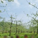 자연안에어린이집 이미지