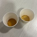 기린03-1 | 기린 후쿠오카 맥주공장 투어 후기 | 예약 방법·가는 법 정리