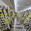 명동상사 이미지