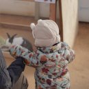 남사농장 | 경기 용인 남사 아이랑 실내 가볼 만한 곳: 무럭무럭 농장