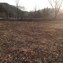 통나무이야기 이미지