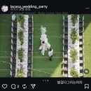 그린앤블루호텔 | W-day. 라까사 호텔 웨딩 상견례 후기 / 웨딩슈즈 마놀로블라닉 / 셀프 청첩장 만들기