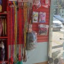 이향애견살롱 이미지