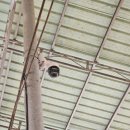 구축농장 이미지