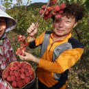지리산꾸지뽕농장 이미지