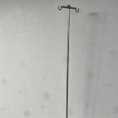 아모르(Amor) 이미지