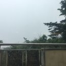 중앙동323 이미지