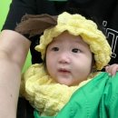 동화촉감놀이 당나귀똥 6-9개월 | 상봉 홈플러스 문화센터 신청 당나귀똥 강의 수강 후기