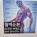 팔팔 두발로