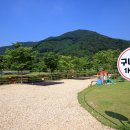 연산황산벌 오토캠핑장 티스토리