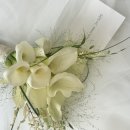 2016-주050 | 부산 부케 말리기부터 캔들 제작 의뢰까지 가능한 고마워공방 후기 사진