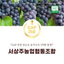 서상주농업협동조합 네이버블로그