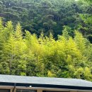 오리나무약수터 이미지