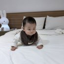 여수 엘로디 독채 스파펜션 | 여수 풀빌라 독채 시로리조트 &amp; 풀빌라 | 스파+수영장 있는 여수 풀빌라 리조트 후기