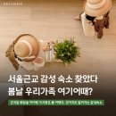 소소스토리펜션 | [공지] 복층 로망 채우는 화담숲 숙소, 여행가기 좋은 1시간 거리