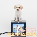 스튜디오오오씨