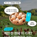 신선