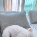 구미수산(해물)