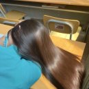 린스헤어 이미지