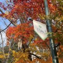 구) 홍성읍 청사 1층 | 삿포로 가볼만한곳 홋카이도대학 홋카이도청사 삿포로시계탑