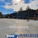 낙서초등학교 이미지