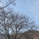 삼방초등학교 이미지