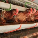 원준농장 이미지