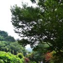 효우당 이종검 정려문 이미지