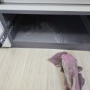 이든타워펠리스 이미지