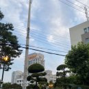 예향칼국수 이미지