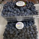 남평농장 이미지