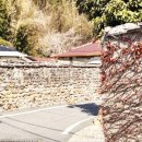 현산면 효열부 나주임씨정려 이미지