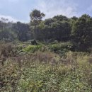 최영일 행정사사무소 이미지