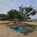 신정호관광지 이미지