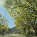 이재수한의원 이미지