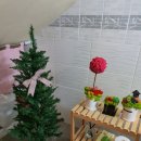 군산국수 이미지