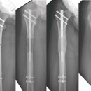 새연세정형외과의원 이미지