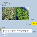 봄쑥