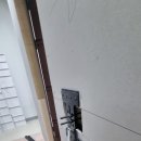 단디맨