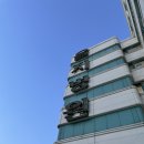 쌍둥이 | 노원 을지대 병원 선근증 절제술 개복 수술 후 쌍둥이 출산 후기