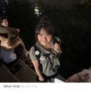 아이비스 PC방 대전복수점 | 영원을 조각하던 나의 여름