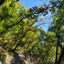 태평성대 이미지